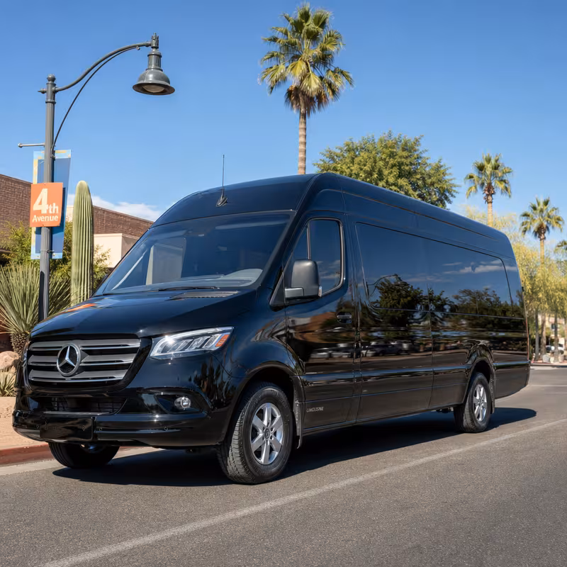14 Passenger Sprinter Limo